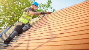 Best Roof Moss and Algae Removal  in Walton Hills, OH