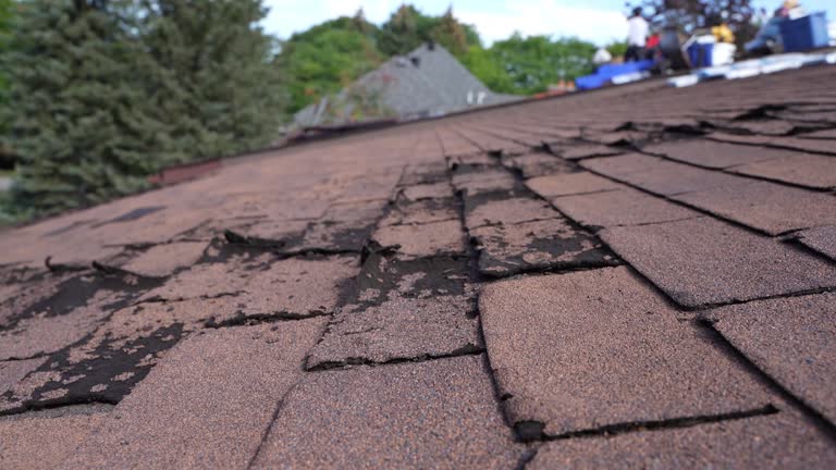Fast & Reliable Emergency Roof Repairs in Walton Hills, OH